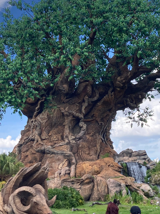 Moving to Florida: The 4 Life Lessons I Discovered