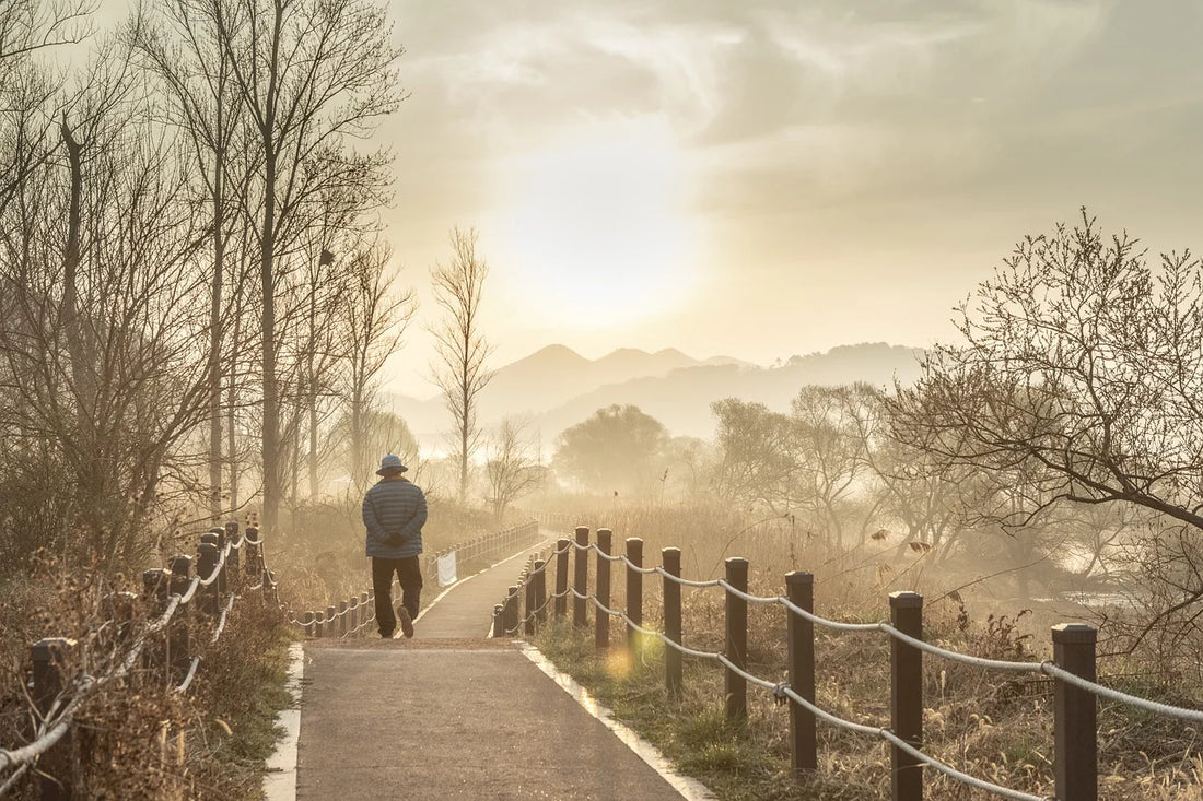 Revitalizing Mental Health: The Power of Walking and Sunlight